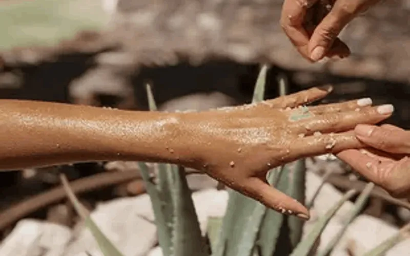 Aloe Experience